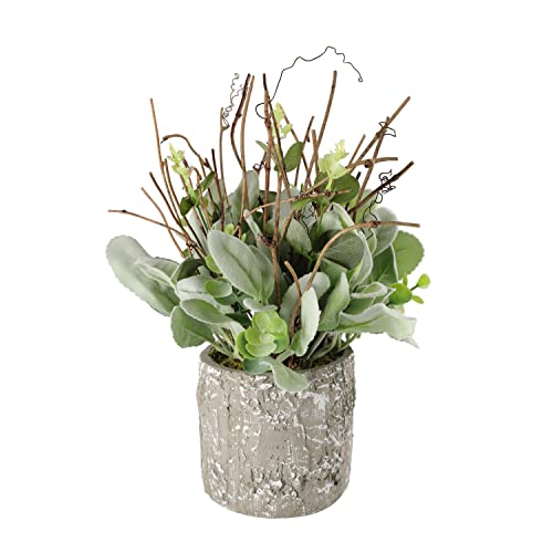 11  Lambs Ear Potted Plant with Twig & Greenery Leaves, Cement Pot...