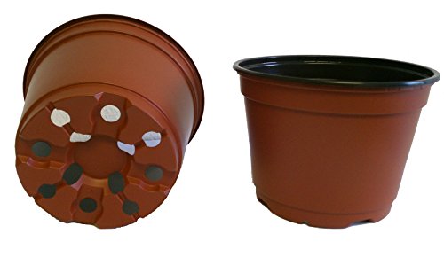 20 New 6 Inch Plastic Nursery Pots - Azalea Style ~ Pots are 6 Inch...