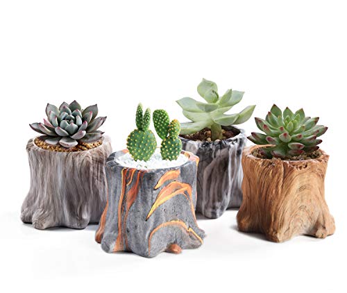 2CFUN Succulent Planter Pots Small Ceramic Flower Cactus Pots Set 4...