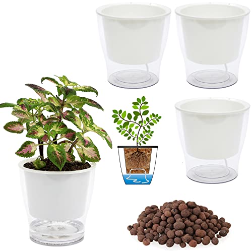 3 Packs 7  Large Clear Self-watering Planters African Violet Pots P...