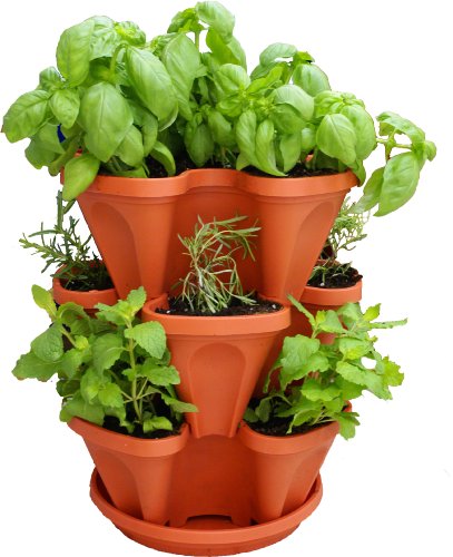 3 Tiered Stackable Indoor Outdoor Vertical Herb Planter - Learn How...