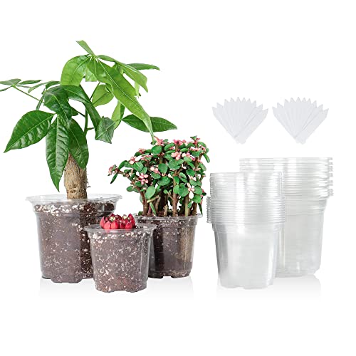 36 Packs 5 4 3.5 Inch Reinforced Clear Nursery Pots with Drainage H...
