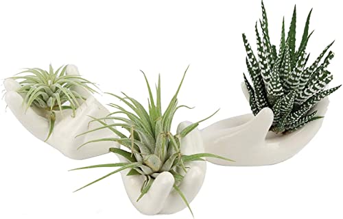 4 Pack Air Plant Holder Cute Ceramic Airplants Tillandsia Succulent...