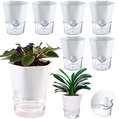 6-Pack 4.3  Clear Self-Watering Pots for Indoor Plants Small Hexago...