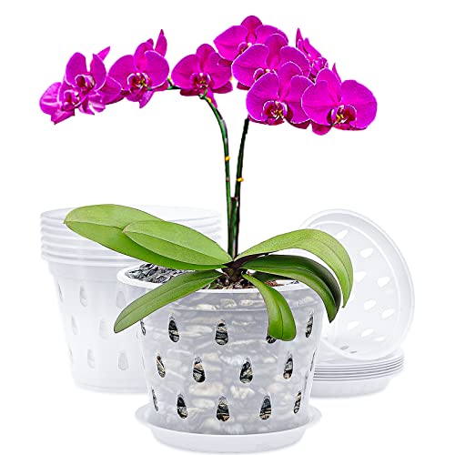 AAHGGBA 7 Inch 8 Pack Orchid Pots with Drainage Holes and Saucers C...