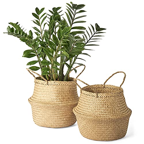 Artera Woven Seagrass Plant Basket - Pack of 2, Wicker Belly Basket...