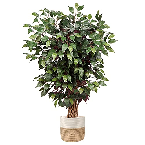 Artificial Ficus Tree 3ft Tall 36 Inch Faux Silk Plants in Cotton P...