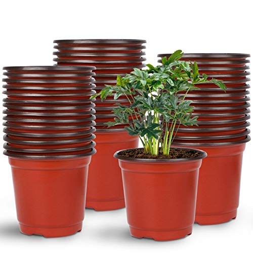 Augshy Nursery Pot, 75 Pcs 4  Plastic Plant Pot Nursery Seed Starti...