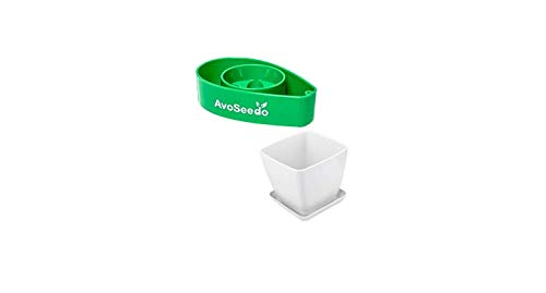 AvoSeedo Avocado Tree Growing Kit with Pot - Practical Gifts for Wo...