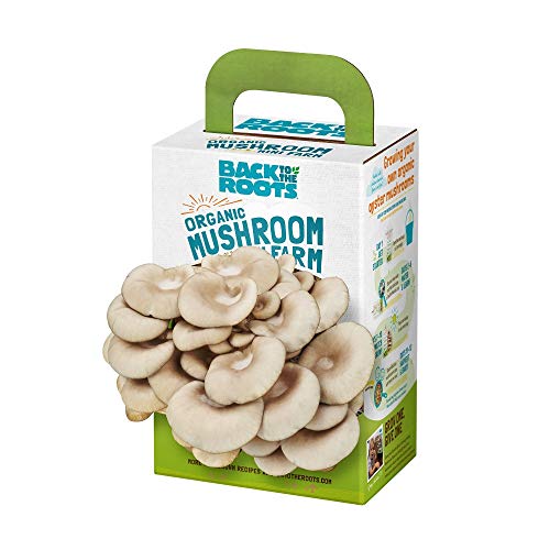 Back to the Roots Organic Mini Mushroom Grow Kit, Harvest Gourmet O...