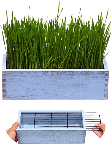 BENPIN Wooden Cat Grass Planter (no Seeds Included) with Anti-Diggi...