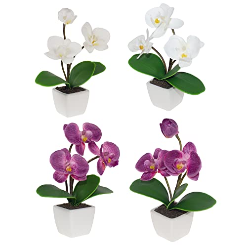 BINFEN Mini Artificial Phalaenopsis Orchids in White and Purple - S...