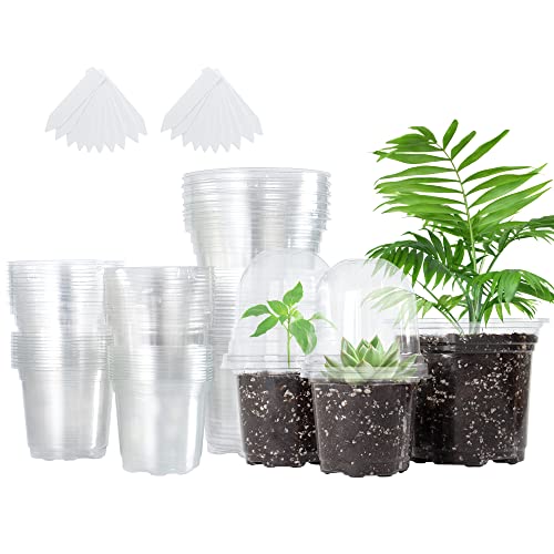 Bonviee 36 Packs 3.5 4 5 Inch Clear Nursery Pots with Humidity Dome...
