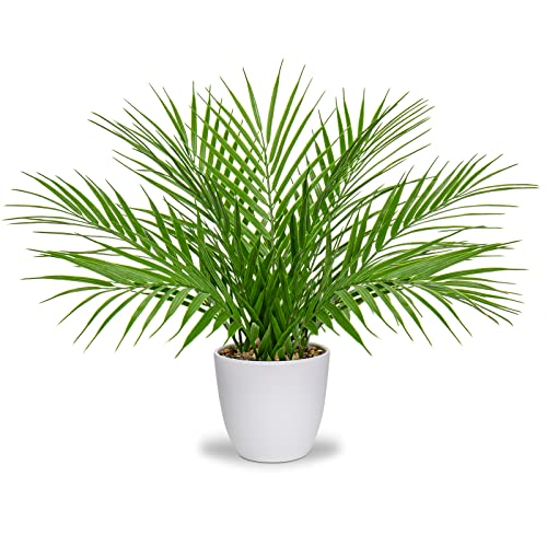 Briful Fake Plant 15’’ Artificial Palm Plant in White Pot Real ...