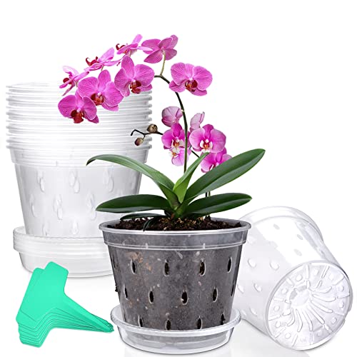 Business King Orchid Pot with Saucers & Labels 5.5 Inch 10 Pack, Cl...
