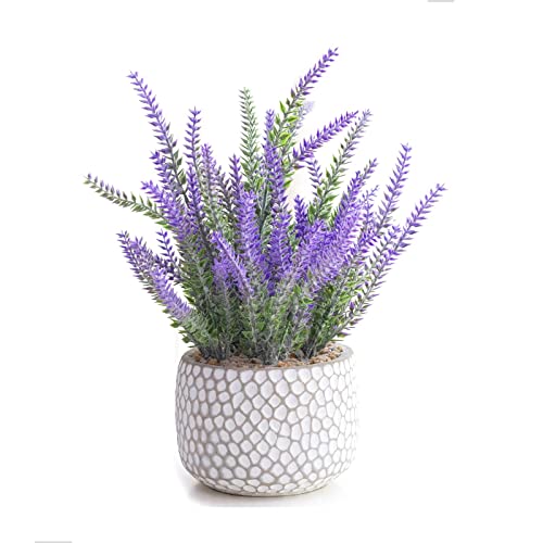 CADNLY Fake Lavender Plant in Pot - Faux Lavender Flowers Artificia...