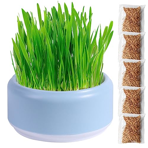 Cat Grass Planter, Cat Grass Box, Pets Grass Pot, Food-Grade Cat Gr...