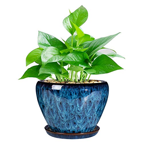 Ceramic Modern Glaze Succulent Planter Pot with Drainage Hole and S...