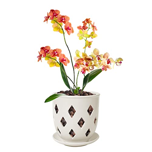 Ceramic Orchid Pot, 6in Orchid Pot with Holes, Decorative Rhombus C...