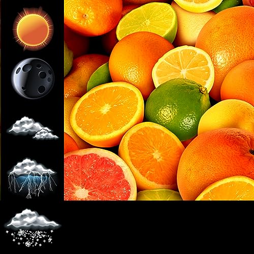 Citrus Fruit Weather Clock...