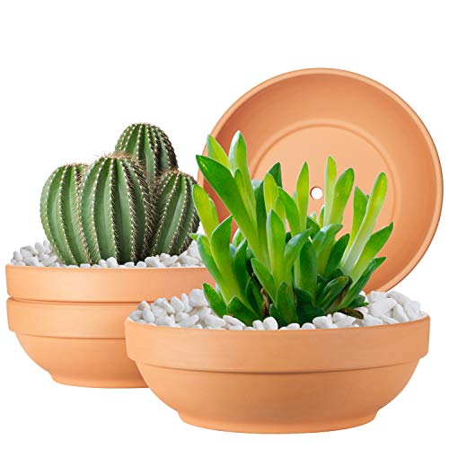 Clay Pots for Plants with Drainage Hole, 4 Pack Large Terra Cotta P...