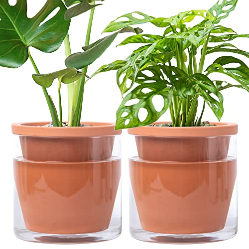 D vine Dev 6 Inch Design Self Watering Pot for Indoor Plants, Terra...