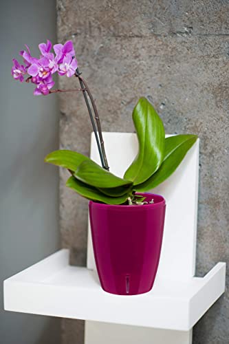 DECOPOTS - Self Watering Orchids Pot 5.5 inch - Wicking Pot for Flo...