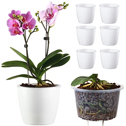 DELF 6 Pack 6.7  Self-Watering Planters Flower Pots for Indoor Gard...
