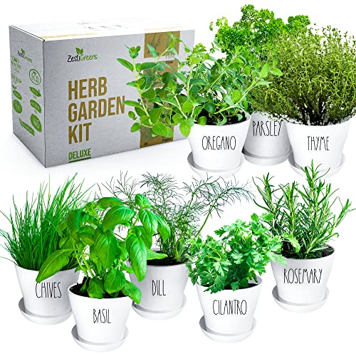 Deluxe Herb Garden Kit – 8 Variety Herbs for Indoor & Outdoor –...