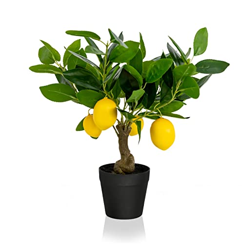 DIIGER 16 inch Artificial Potted Plants, Artificial Fruit Lemon Tre...