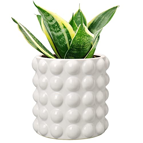 DILATATA 6 Inch Ceramic Planter Pot for Indoor Plants with Drainage...
