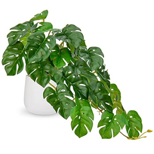 DILATATA Fake Plants Indoor 8 Inch Artificial Monstera Leaves in Ce...