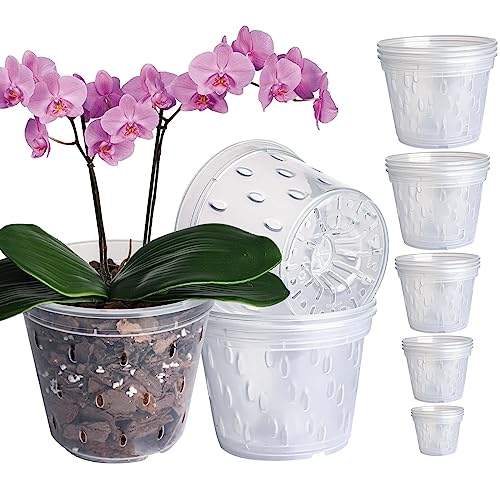 Doter Orchid Pots Variety 12 Packs (5.6 Inch   6 Inch   6.8 Inch x ...