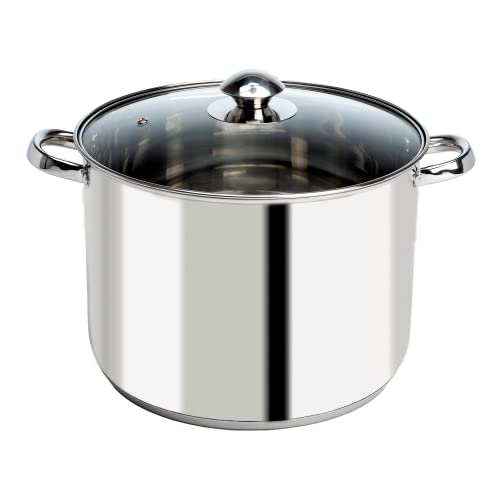 Ecolution Stainless Steel Stock Pot with Encapsulated Bottom Matchi...