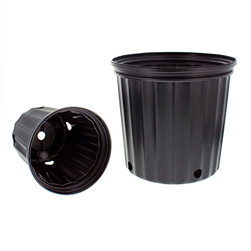 Elite Two Gallon (Trade) Nursery Container Pot - 60 Bundle...