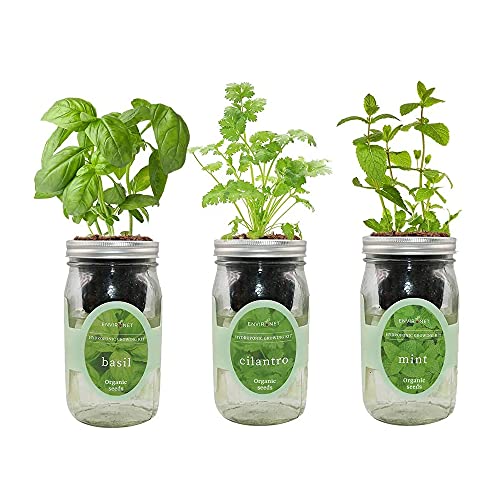 Environet Hydroponic Herb Growing Kit Set, Self-Watering Mason Jar ...