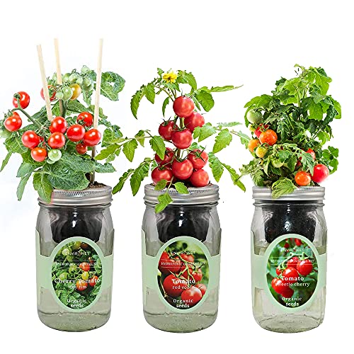 Environet Hydroponic Mason Jar Indoor Garden Organic Seed Starter K...