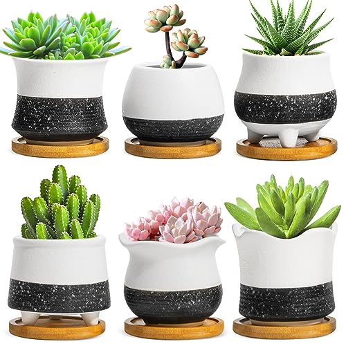 EZEJIAO Succulent Pots Unique Pots for Succulent with Drainage and ...