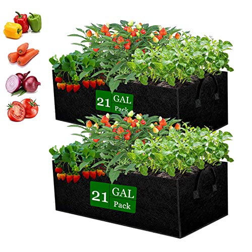 Fabric Grow Bags, 2-Pack Raised Garden Bed with Handle, Garden Bags...