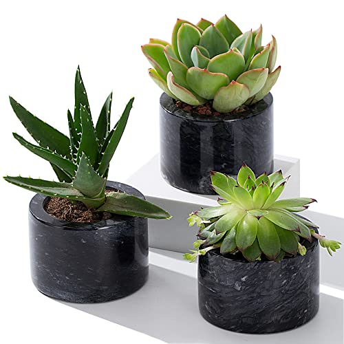 Fasolahome Marble Succulent Pots, 3.15 inch Natural Marble Planter ...