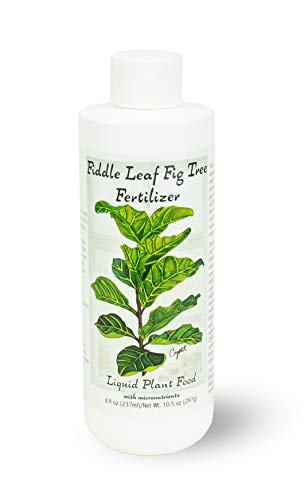 Fiddle Leaf Fig Tree Fertilizer | Ficus Plant Food | Improves Leave...