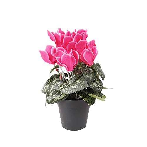 Floristrywarehouse Faux Silk Pink Cyclamen Bush in Pot 10 Inches Ta...
