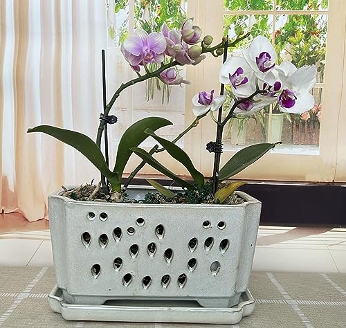 Fowargif 10inch Large Rectangle Ceramic Orchid pots with Holes with...