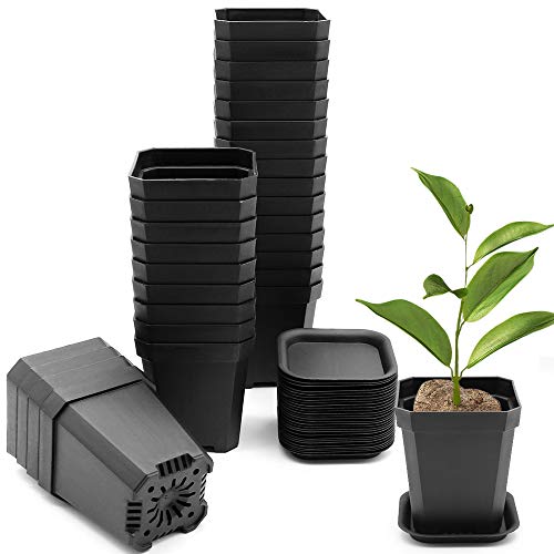 foxany 3  Nursery Pot, 30 Pcs Thick Plastic Plants Pots, Square Flo...