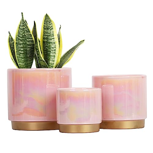 Gepege Pink Indoor Plant Pots for Plants, Ceramic Planter with Drai...