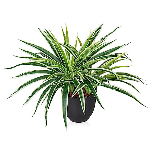 GnFlus Fake Grass Plant in Pot Artificial Spider Plants 12 Inch Fau...