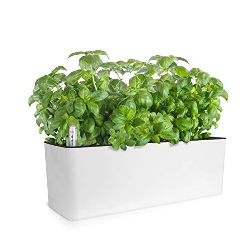 GrowLED Self Watering Planter Pots Window Box Indoor Home Garden Mo...