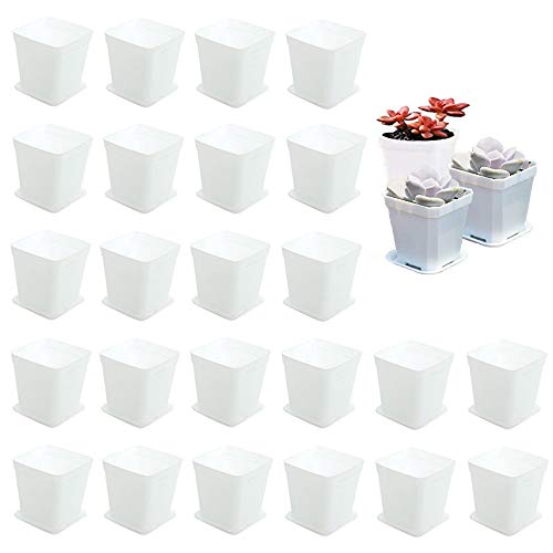 Haawooky 24 Pack 3 Inch Square Nursery Flower Pots,Plastic Plant Po...