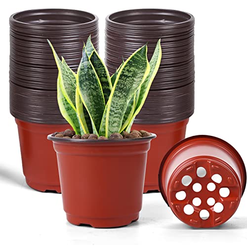 HECTOLIFE 100 Pcs 6 Inch Plant Nursery Pots,Plastic Seedling Pots,S...