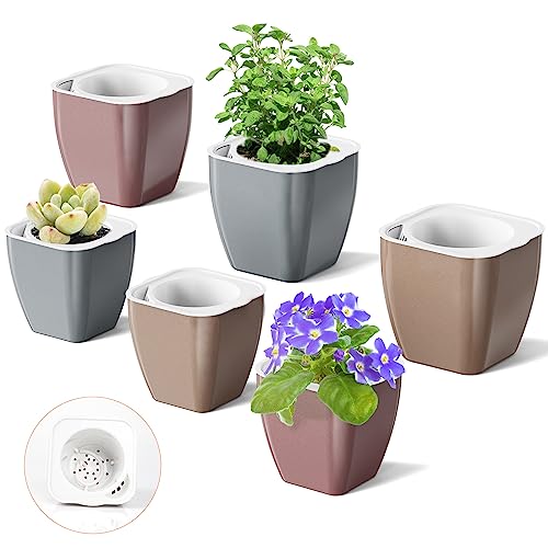 HEMOPLT Indoor Plant Pots - Self Watering Planters - Pack of 6, 5  ...